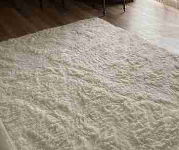 Cozy Area Rug for Apartment Flooring